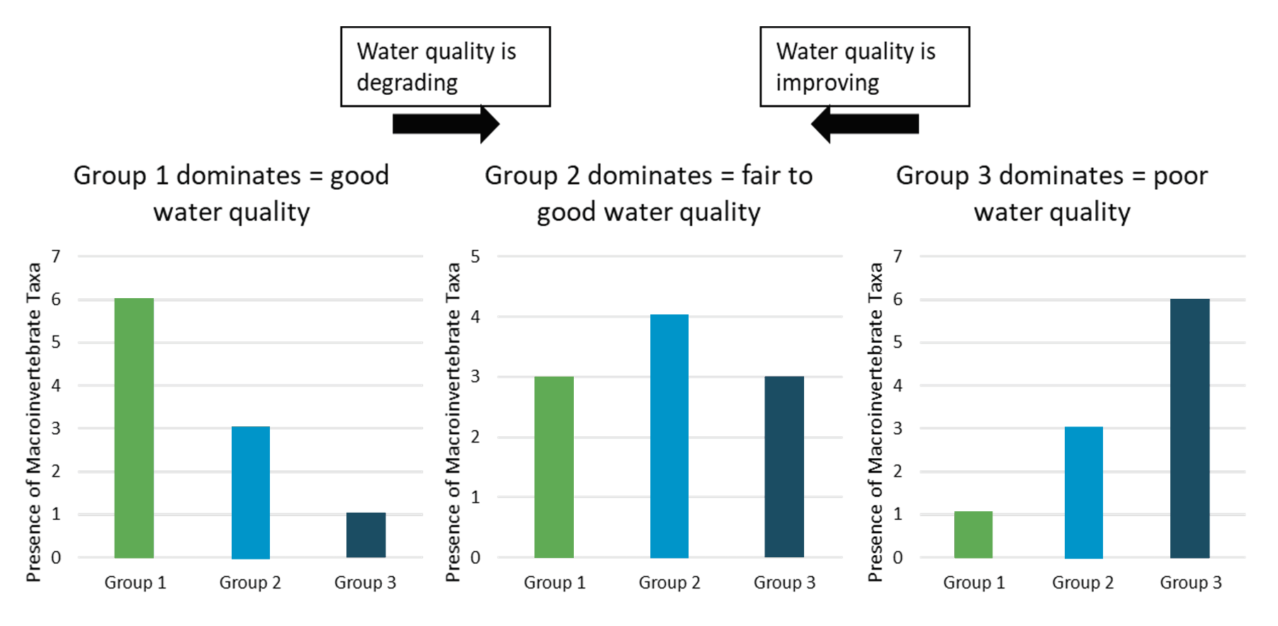 Three bar graphs show that if Group 1 dominates, water quality is good. If Group 2 dominates, water quality is fair to good. If Group 3 dominates, water quality is poor.